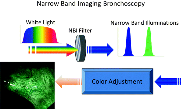 Narrow Band Imaging