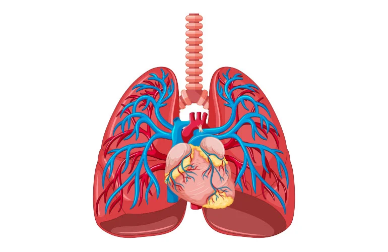  Pulmonary Hypertension